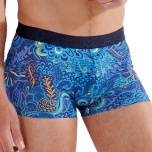 HOM m.pesupüksid/ m. boxer briefs CYRIL