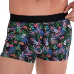 HOM m.pesupüksid/ m. boxer briefs HAVANA